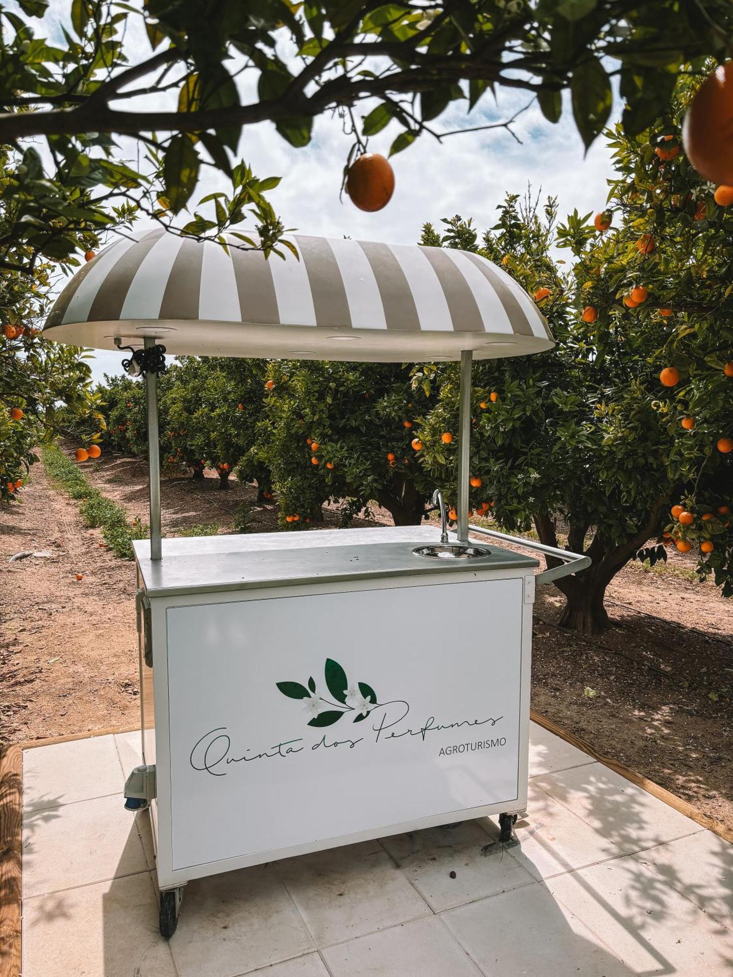 Вилла Quinta Dos Perfumes Тавира Экстерьер фото
