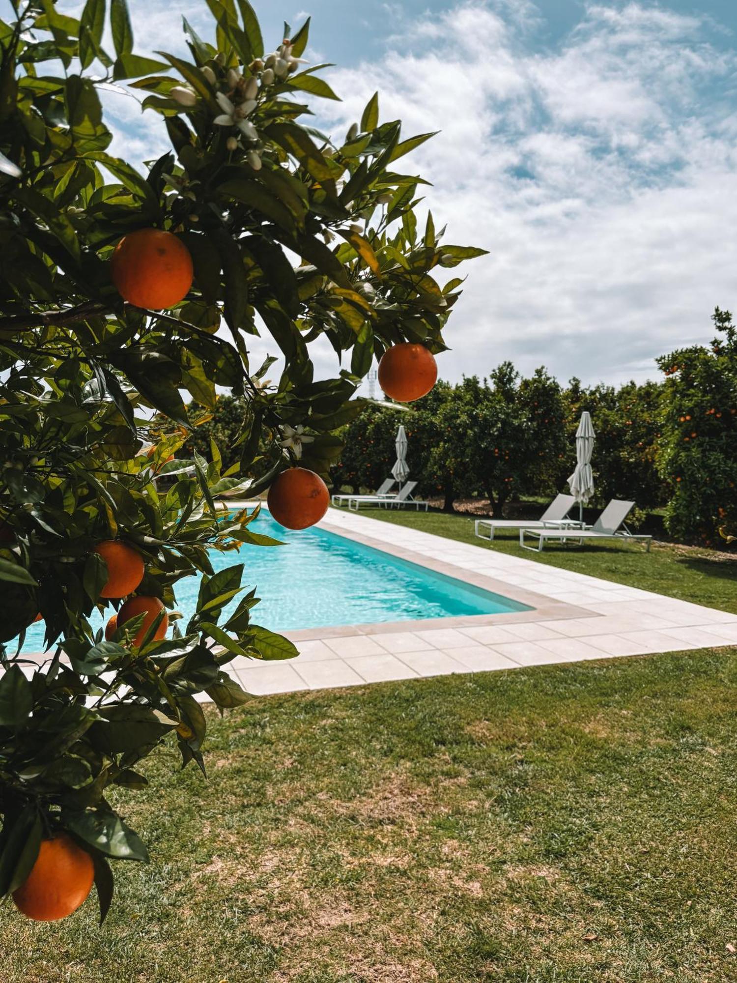 Вилла Quinta Dos Perfumes Тавира Экстерьер фото